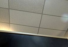 Watch PJ Daniels take that anal POV pounding hard!