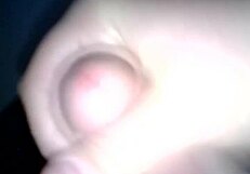 Kvid0006 Video Compilation