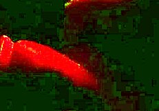 is your wife giving pussy at the gloryhole in barra da tijuca swing house?