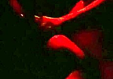 is your wife giving pussy at the gloryhole in barra da tijuca swing house?