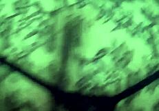 Anal Plug Rose In Big Ass Blonde Action