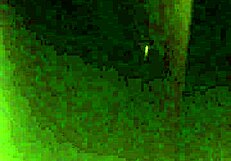 My sister-in-law and I sharing intimate moments