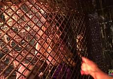 Chicks Suck Cocks Before Pussy and Butt Fucking