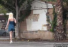 Teen girls everywhere engaging in sex with big tits