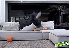 Yatak odasında sulu genç 18+ orospular ona sıkı ıslak amcıklarını sertçe sürmesine izin veriyor.