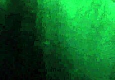 Can Cd Meena's Big Ass Dick Tease You?