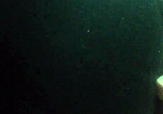 Can Cd Meena's Big Ass Dick Tease You?