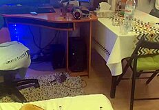 This sexy asian milf gives a blowjob and gets hard sex