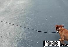 Mofos - kaylee quinn and her big tits get pounded