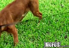 Mofos - kaylee quinn and her big tits get pounded