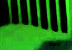 W Lucio-Marave's Day Fucking German MILFs With Monster Cocks