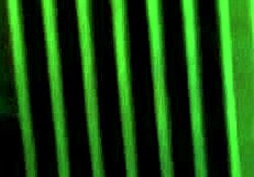 W Lucio-Marave's Day Fucking German MILFs With Monster Cocks