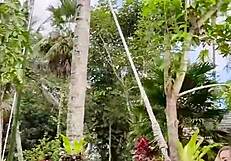 Presenting the second part of my sensual holiday in Bali with the team