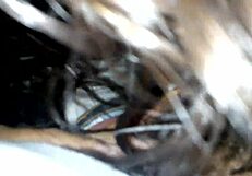 Teen 18+ POV oral amateurs