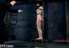 Free Punishment Themes Explored in Detail