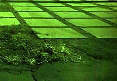 Mature Woman Endures Rough Double Penetration Punishment In Garage Bondage