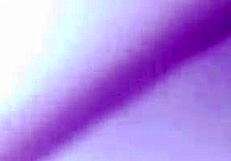 amateur homemade sex video casually shared