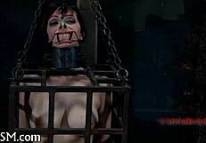 Free Punishment Themes Explored in Detail