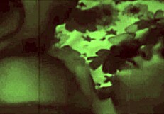 I found the secret life of a victorian gentelman with hairy antiques.