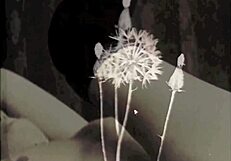 Exploring Secret Desires In Soho Square's Vintage Era