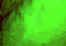 Episode four of the pink shirt diaries featuring amateur stories