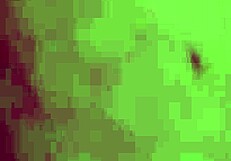 Episode four of the pink shirt diaries featuring amateur stories