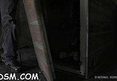 muzzled brunette babe needs wild taming right now