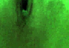 What is more interesting than watching a beautiful girl masturbate and squirt?
