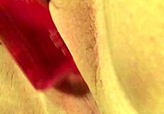 Trim Bunny Teases Bisexual Fat Chubby Masturbation Session with Provocative Questions.