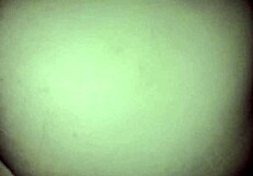 Brunette Young Prostitute Pays Bet With Big Pussy