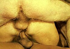 Vintage Top Twenty Three Holes in Double Penetration