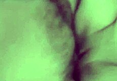 Hot step bro fucks horny sis, doesn't he?