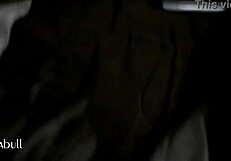 Latina Sucking Black Cock