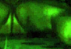 mexicana cogelona in intriguing mexican amateur scene