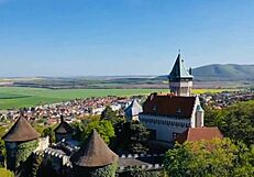 Preview of stripping in a castle and dancing with a prince in erotic european scene