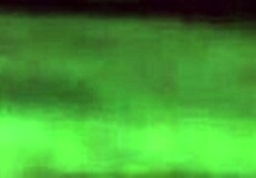 mexicana cogelona in intriguing mexican amateur scene