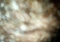 Licking A Perfect Vagina Brings Intense Orgasm With Tongue