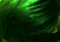 watch this trans perform deep throat blowjob