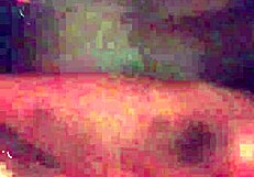 Intense pounding of petite ebony ass with deep penetration and moans