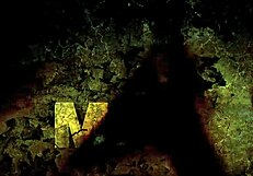 The old silent picture that altered the world of the porno film