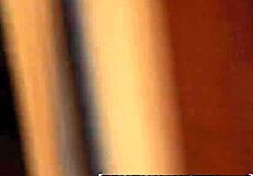 mofos rachael madori tries anal up her naughty ass