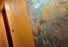 gold digger strips naked in hotel for risky anal play