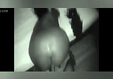 ebony bbw amateurs fucking hard in homemade scene