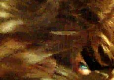 feeling the rush while sucking daddy's cock