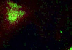 Mature mommy delivers intense blowjob sucking deeply