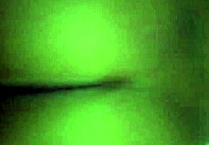 Creamy load from behind: Black girl moans in pleasure