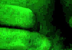 2014-05-10 Video Clip