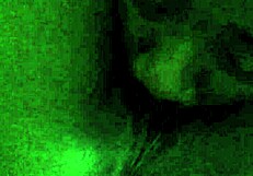 2014-05-10 Video Clip