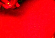 A newcomer at this blowjob thing Micheal is quite a tease in this POV
