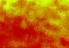 Wife's Homemade Amateur Video